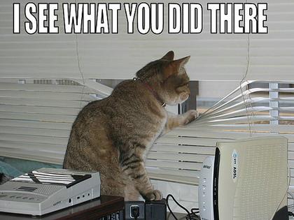 Cute Cats with comments (60)