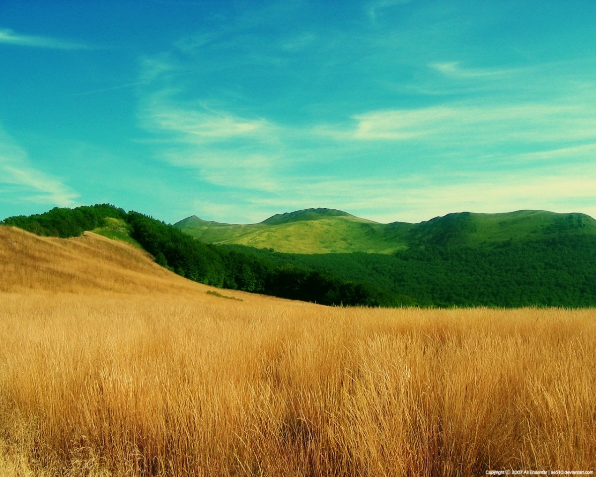 Autumn in Mountain by ae510