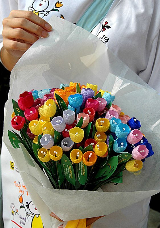 66277376am5hl4ts7bb0cbqv7