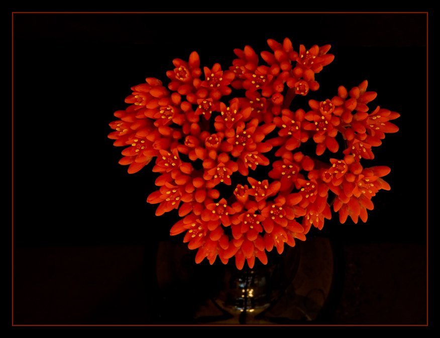 2955d6bd5cf6028030f69c5