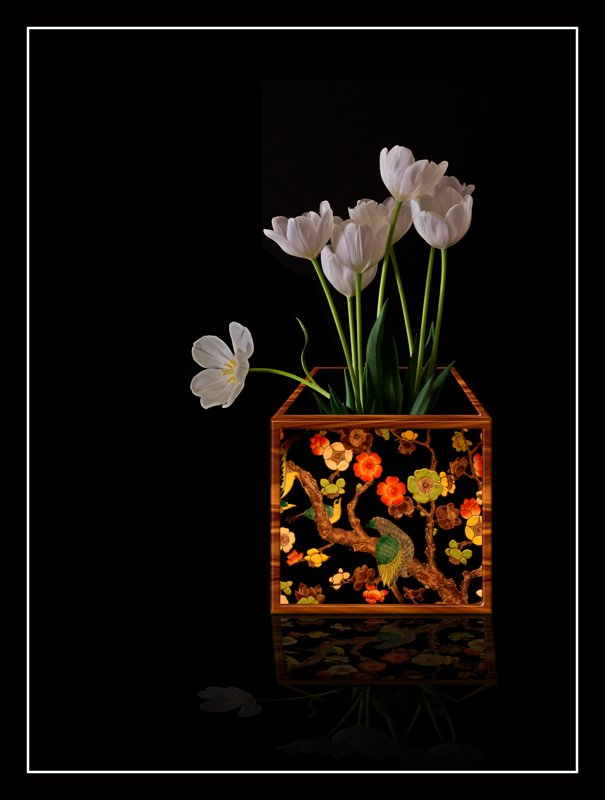 toolipsbyernieleo3176eb