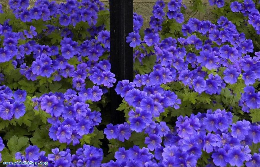 67356 050617postboxjpg preview 1