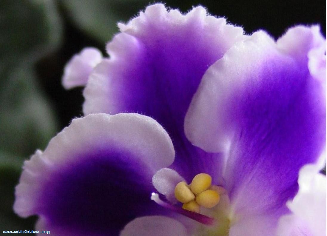 67356 2960648070050434146LvjUKi fs 1