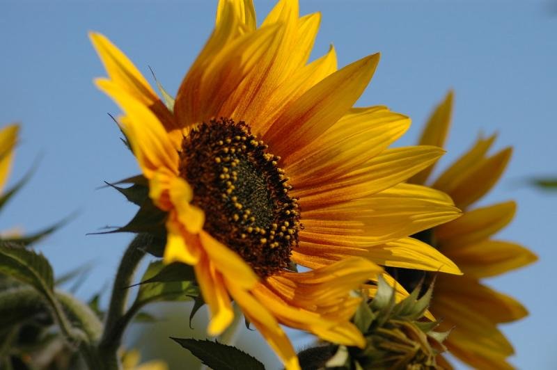 40585143dsc5614a1f7b4ca