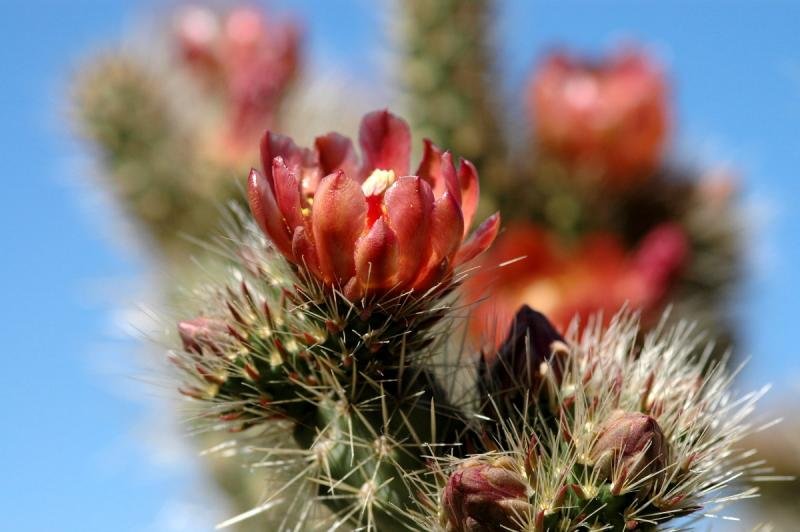 41745451dsc6672a1fc7056