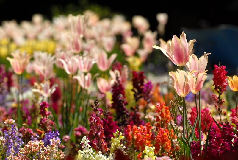 99189218dr5gidbetim3774